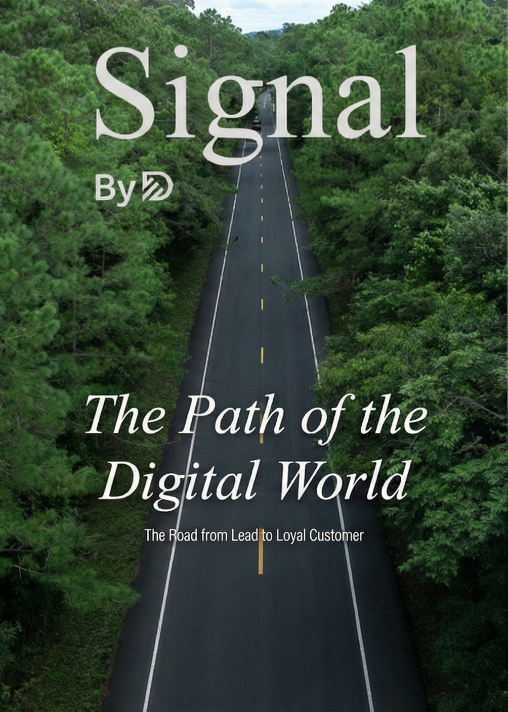 4-Step Digital Growth Formula: From Visitor to Loyal Customer Conversion Guide